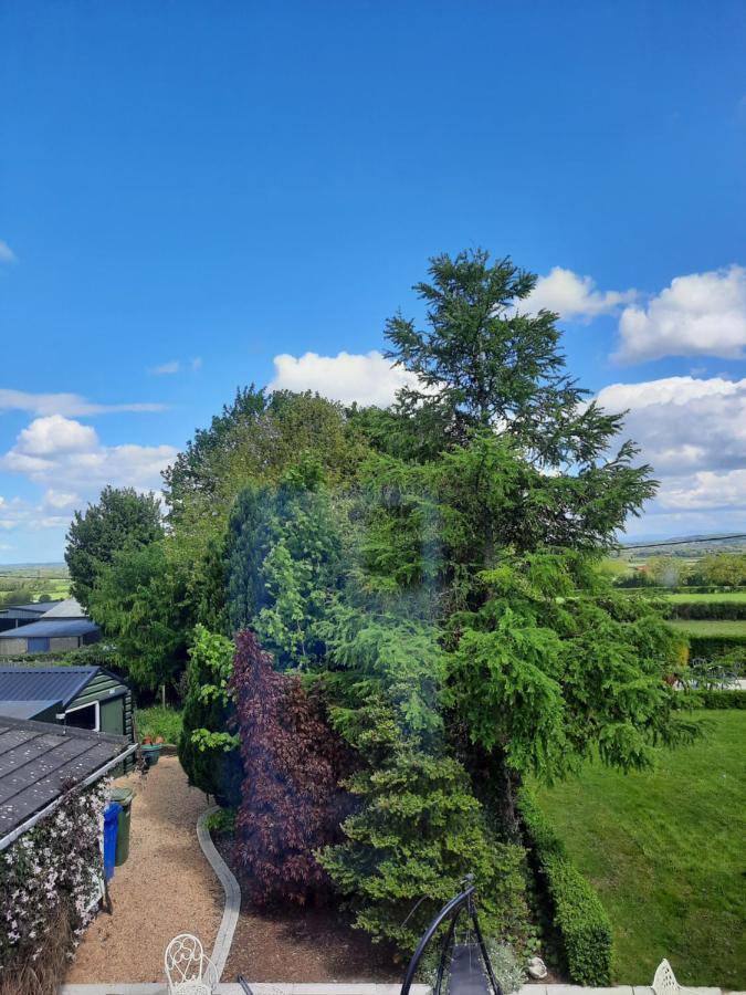Killenard Self Catering Accommodation Exterior foto